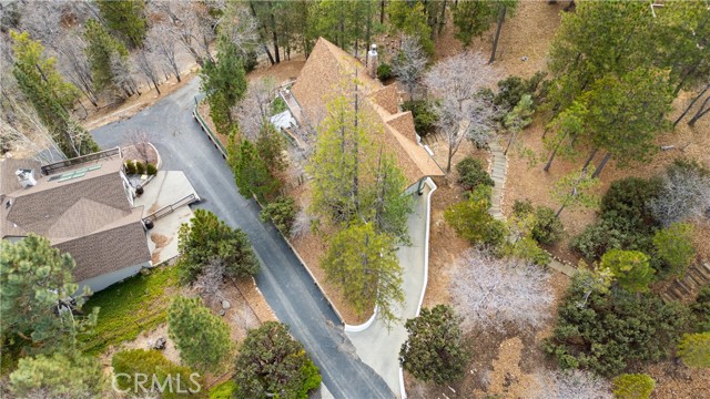 Detail Gallery Image 53 of 63 For 28227 Arbon Ln, Lake Arrowhead,  CA 92352 - 3 Beds | 3/1 Baths