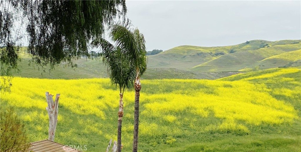 https://media.crmls.org/medias/4c455f56-f274-4deb-be64-aa59458fd416.jpg?preset=X-Large