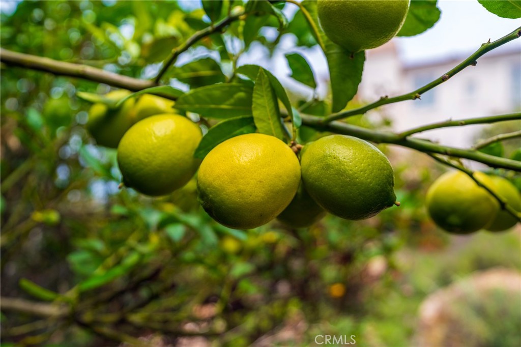 https://media.crmls.org/medias/4c45687c-c7e8-4c08-ad98-cf8b5cdecb3a.jpg?preset=X-Large
