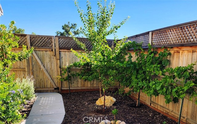 Detail Gallery Image 21 of 22 For 329 Diego Ct, Templeton,  CA 93465 - 4 Beds | 2/1 Baths