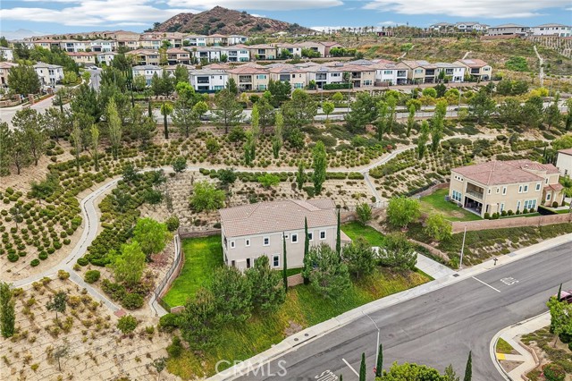 11978 Ricasoli Way photo 49
