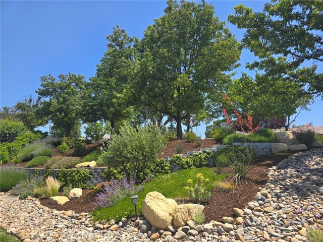 1613 Via Flora, Paso Robles CA: https://media.crmls.org/medias/4c4a3ed7-7312-400f-9154-f174f8fe9009.jpg