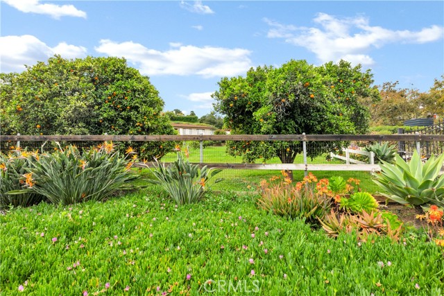 735 Del Valle Drive, Fallbrook CA: https://media.crmls.org/medias/4c4e7ad3-39b8-4a65-ae45-dde3a3f1c442.jpg