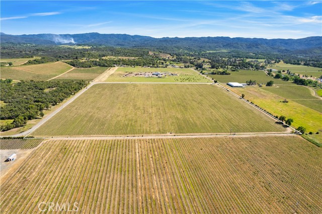 Detail Gallery Image 11 of 29 For 1650 Bell Hill Rd, Kelseyville,  CA 95451 - – Beds | – Baths