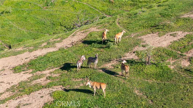 Image 53 of 59 For 39250 Ortega Highway
