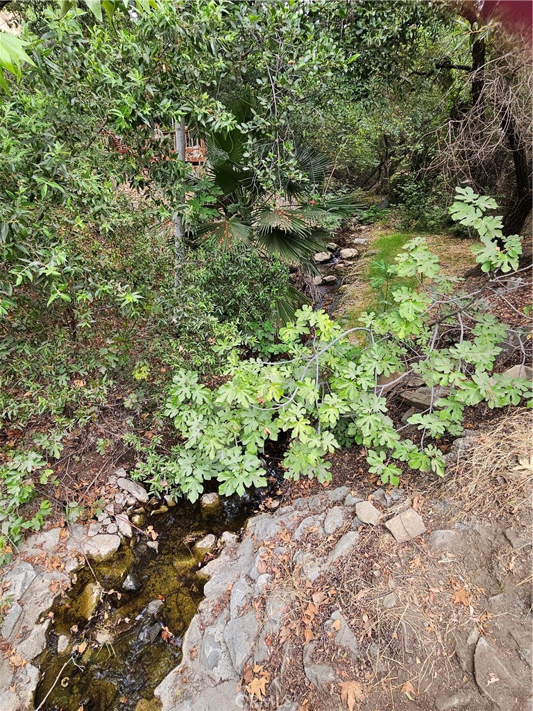 https://media.crmls.org/medias/4c6e4cdb-46f6-4782-8bf6-cd217094ebf7.jpg?preset=X-Large
