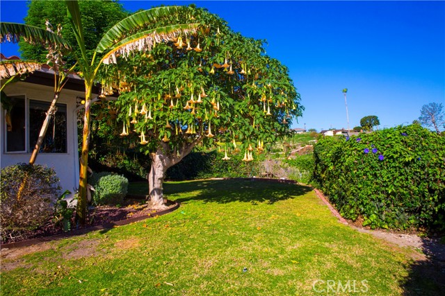 16 Stirrup Road, Rancho Palos Verdes, California 90275, 3 Bedrooms Bedrooms, ,2 BathroomsBathrooms,Residential,Sold,Stirrup,PW22029127