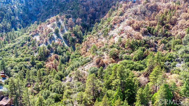 Detail Gallery Image 10 of 20 For 999 Acorn Dr, Wrightwood,  CA 92397 - – Beds | – Baths