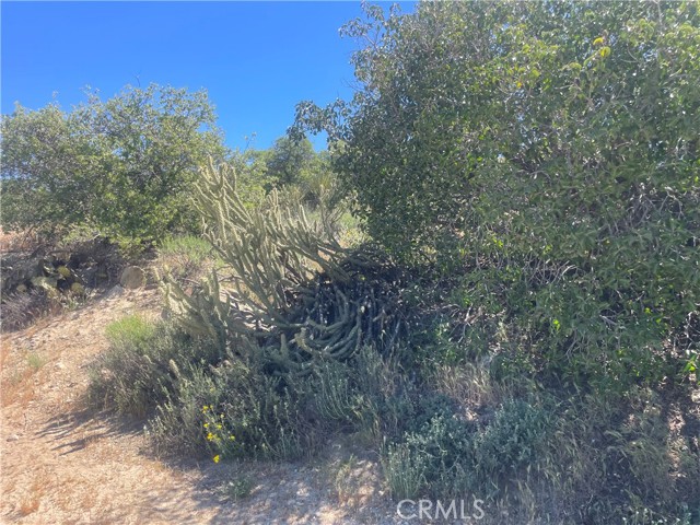 33 Sweetbush, Anza CA: https://media.crmls.org/medias/4c8bc195-c529-4b13-a31d-fc6a8d3e94b5.jpg