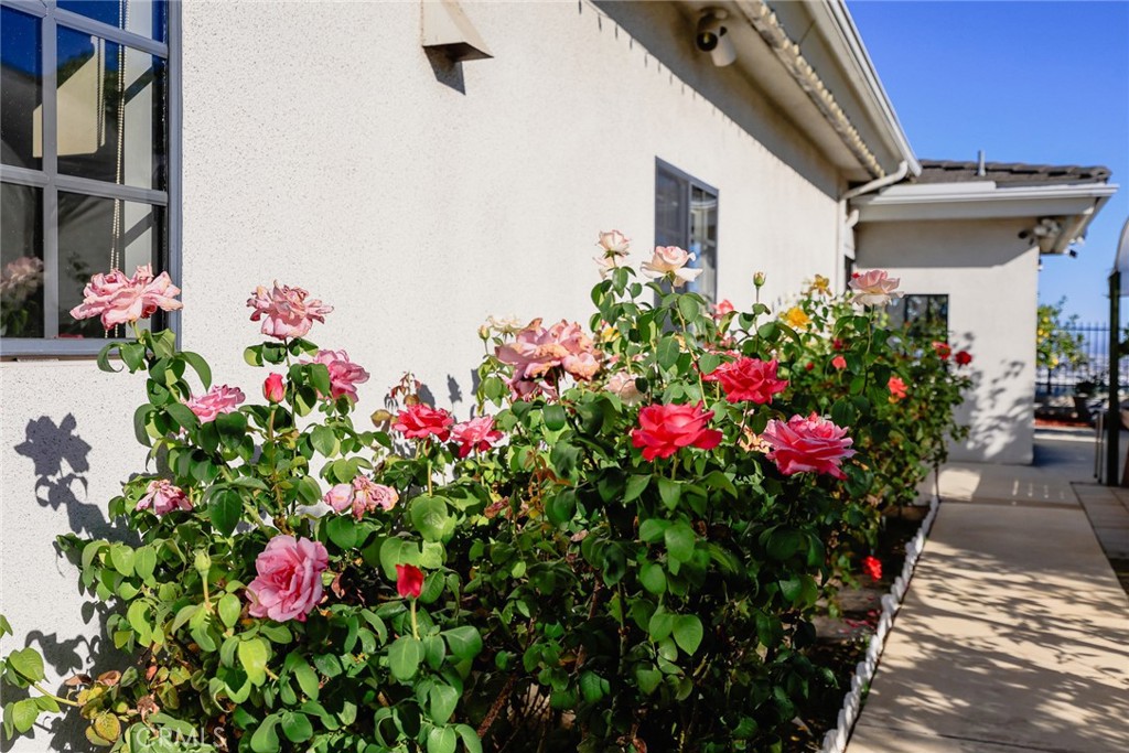 MLS #WS25257279 image #64