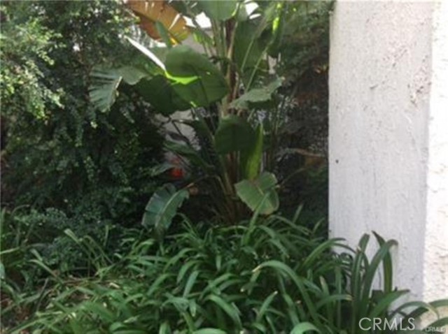 18411 HATTERAS, Tarzana CA: https://media.crmls.org/medias/4c8dda8f-fa61-4ad1-8f34-a6a287638f80.jpg