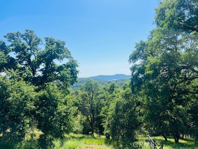 Detail Gallery Image 39 of 75 For 8697 Fraguero Rd, Sonora,  CA 95370 - 4 Beds | 2/1 Baths