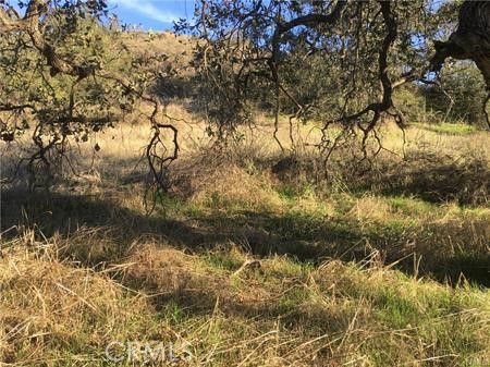 Detail Gallery Image 13 of 27 For 9 La Cruz Drive, Temecula,  CA 92590 - – Beds | – Baths