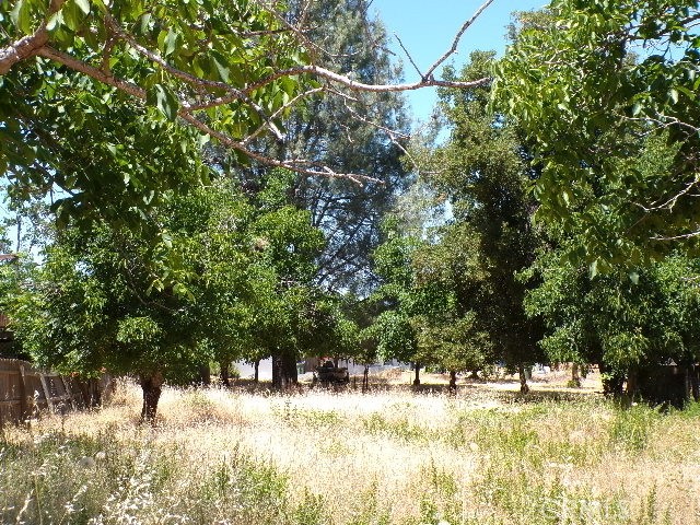 Kelseyville, CA 95451