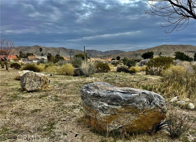 Detail Gallery Image 10 of 13 For 11040 Mescalero Ave, Morongo Valley,  CA 92256 - – Beds | – Baths