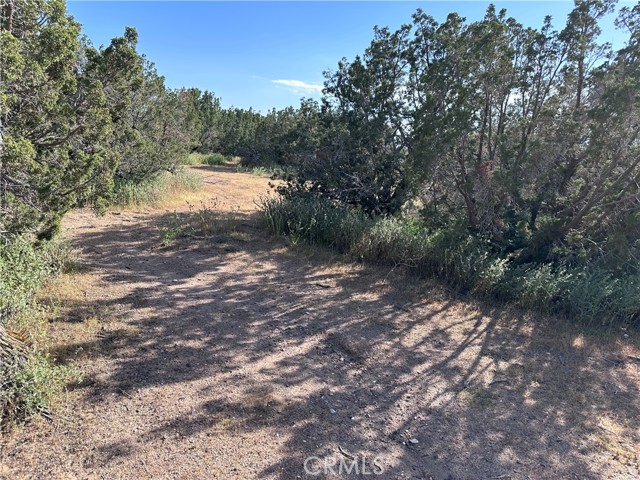 0 Daisy, Hesperia, CA, 92344 0 Daisy, Hesperia, CA, 92344