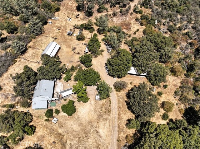 46467 Bissett Station Road, Oakhurst CA: https://media.crmls.org/medias/4ca6e86d-465f-4141-8d0c-6fcc6b2ea99d.jpg