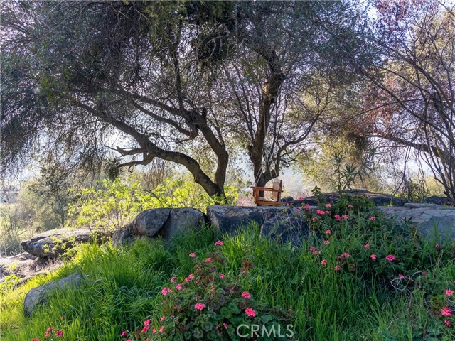 Detail Gallery Image 38 of 49 For 38758 Aster, Squaw Valley,  CA 93675 - 3 Beds | 2/1 Baths