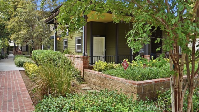 537 Cypress photo 3