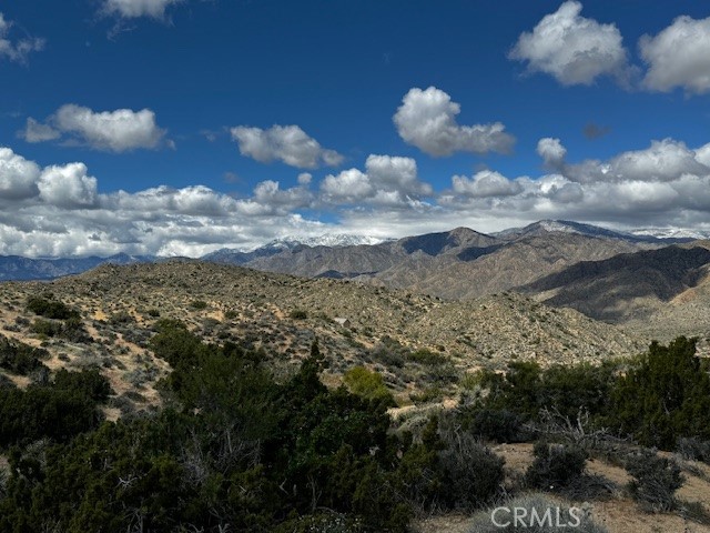 MLS #JT25188299 image #5