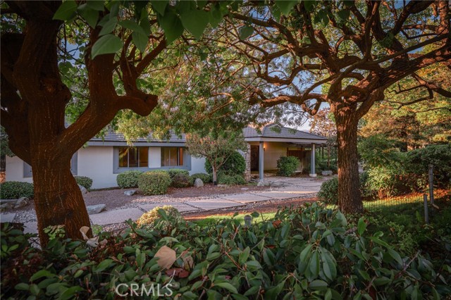 3455 Rancho Rio Bonita photo 16