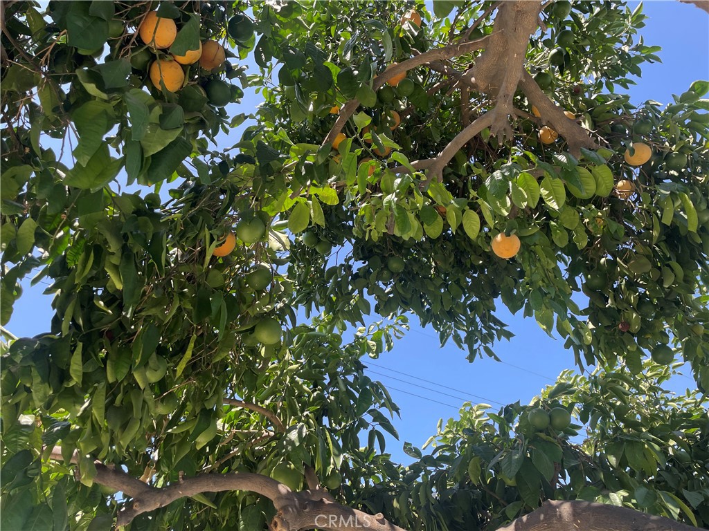 https://media.crmls.org/medias/4cd831b5-846d-440a-affd-4661d450a15f.jpg?preset=X-Large