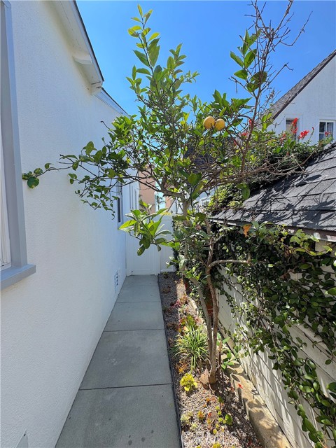 726 1/2 Esplanade, Redondo Beach CA: https://media.crmls.org/medias/4cdf3620-2295-4c34-966f-ff53845b2fe5.jpg