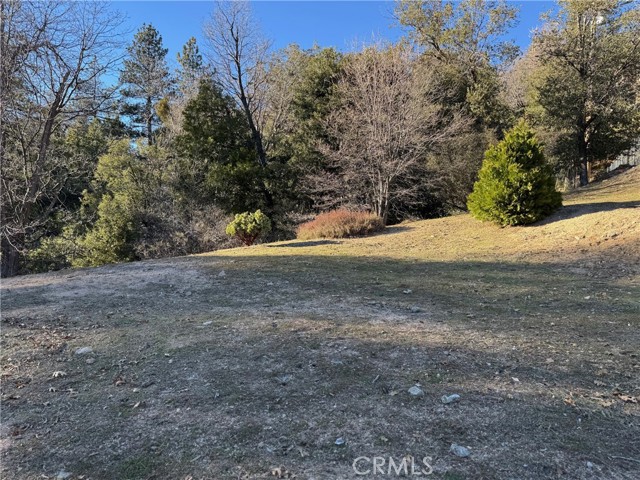 Detail Gallery Image 6 of 12 For 29373 Pine, Cedar Glen,  CA 92321 - – Beds | – Baths