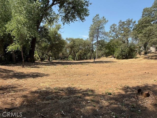 Oroville, CA 95966