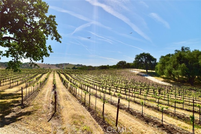 53600 Bradley Lockwood Road, Lockwood CA: https://media.crmls.org/medias/4ce5c2aa-9795-47d7-b48c-a5cc549c492c.jpg