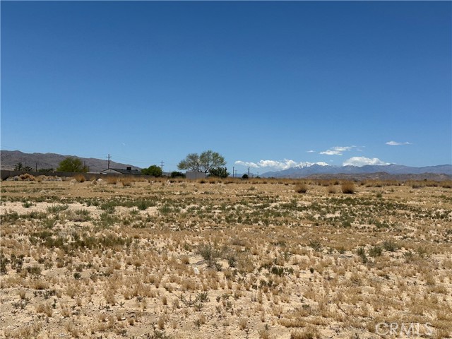 Detail Gallery Image 1 of 7 For 65625 Walpi Dr, Joshua Tree,  CA 92252 - – Beds | – Baths