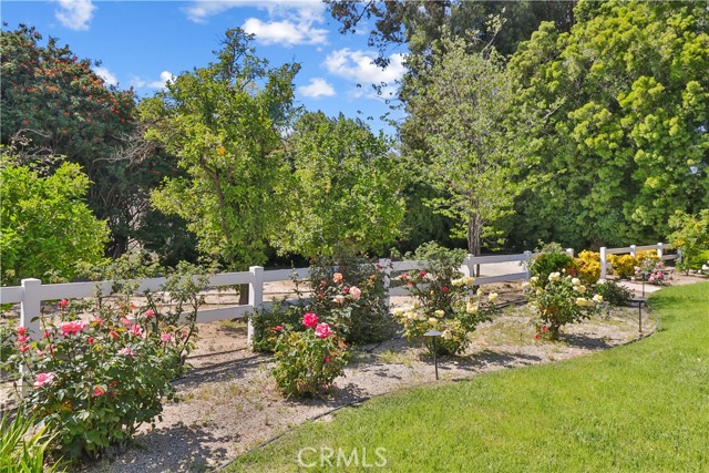 3091 Evelyn Avenue photo 6