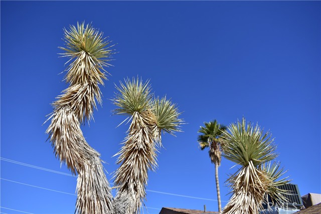 Detail Gallery Image 11 of 28 For 61611 Alta Loma Dr, Joshua Tree,  CA 92252 - 2 Beds | 2 Baths