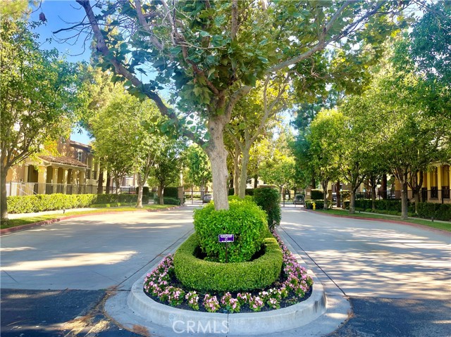 Detail Gallery Image 1 of 31 For 710 Timberwood, Irvine,  CA 92620 - 2 Beds | 2/1 Baths