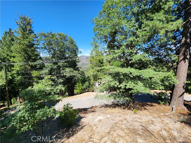 203 Canyon View Drive, Crestline, California 92325, ,Land,For Sale,203 Canyon View Drive,CRRW23202829