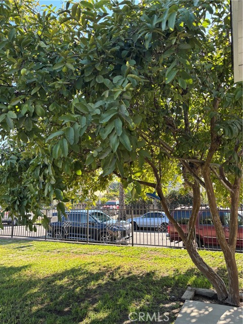 Detail Gallery Image 22 of 22 For 6537 San Miguel, Paramount,  CA 90723 - 3 Beds | 2 Baths