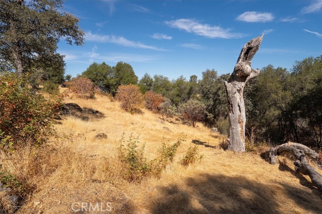 Detail Gallery Image 29 of 41 For 3279 Quail Run Rd, Mariposa,  CA 95338 - – Beds | – Baths