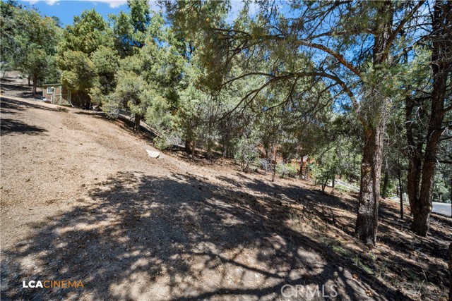 2212 Tirol Drive, Pine Mountain Club CA: https://media.crmls.org/medias/4cf67273-13a1-48fa-8e3f-5961ff69b1ae.jpg