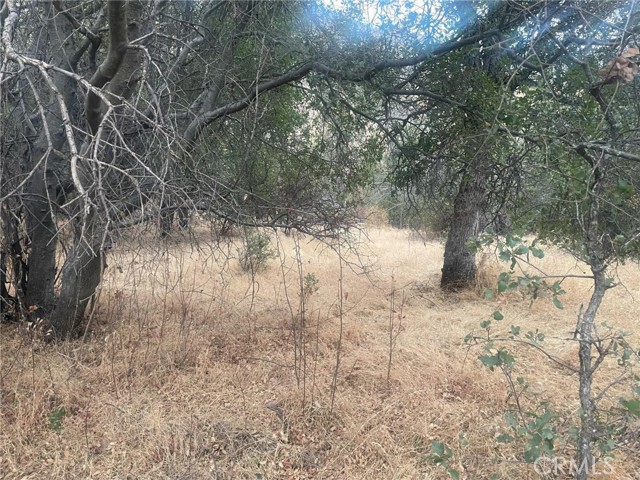 Detail Gallery Image 5 of 19 For 43020 Apache Ranch Rd, Ahwahnee,  CA 93601 - – Beds | – Baths