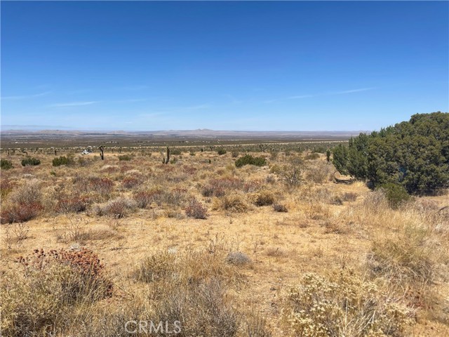  Land for Sale in Llano, California
