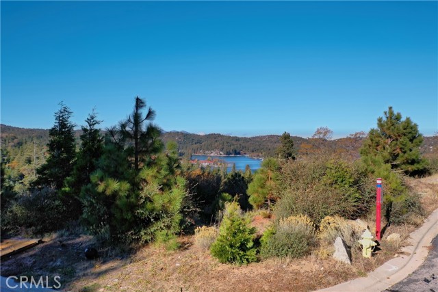 202 Hidden Forest Road, Lake Arrowhead, California 92352, ,Land,For Sale,202 Hidden Forest Road,CREV23214554