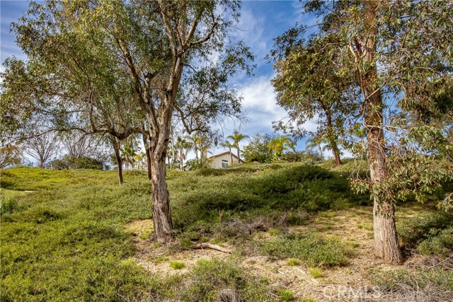 Image 12 of 31 For 24910 Chicory Court