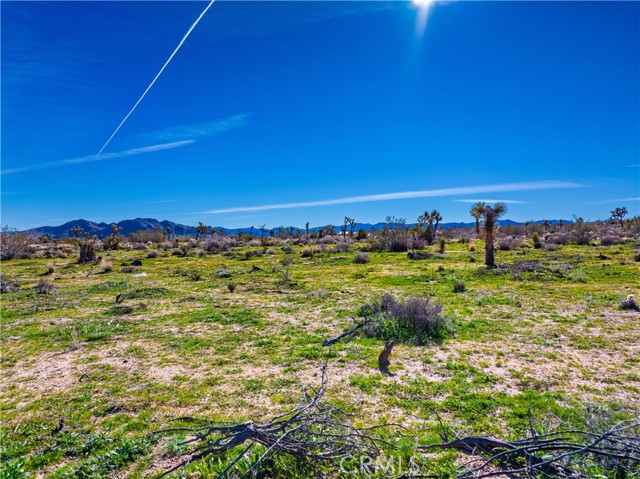 Detail Gallery Image 18 of 24 For 58919 Aberdeen, Yucca Valley,  CA 92284 - – Beds | – Baths