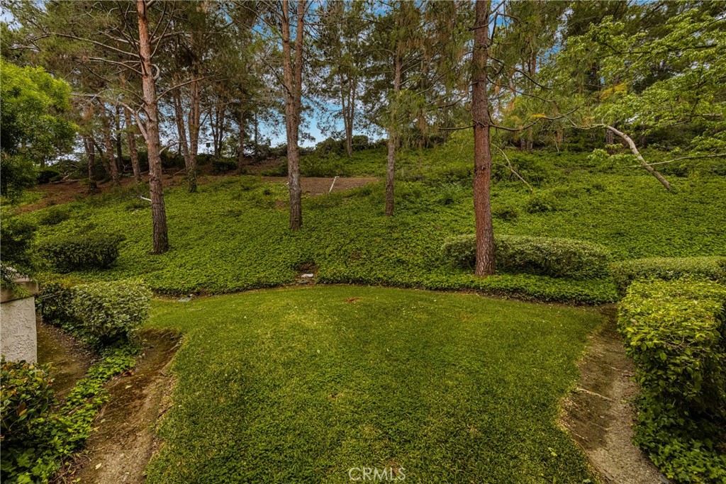 https://media.crmls.org/medias/4d110e25-6963-4401-8c92-7fb876be984c.jpg?preset=X-Large