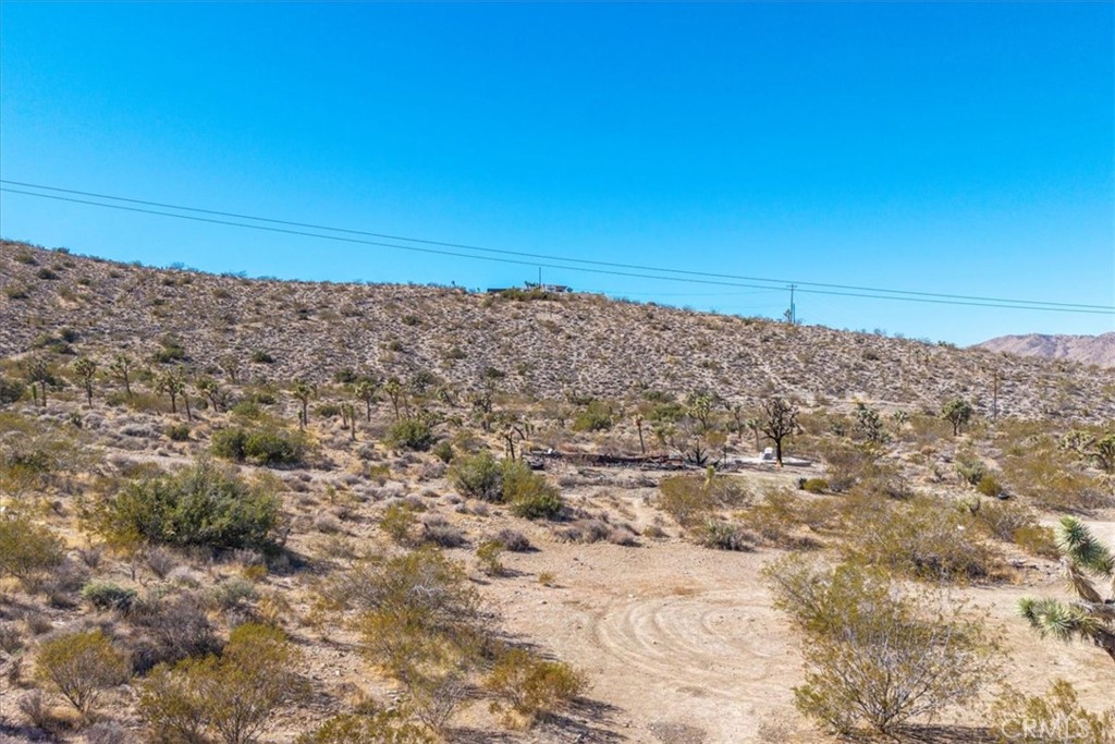 MLS #JT25259485 image #12