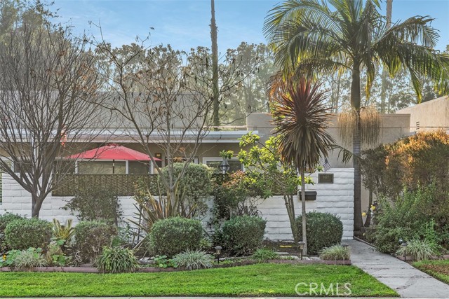 Front Image Thumbnail for CROC25266334