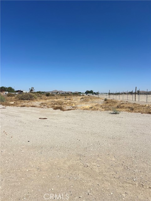 Front Image Thumbnail for CRSR25118833