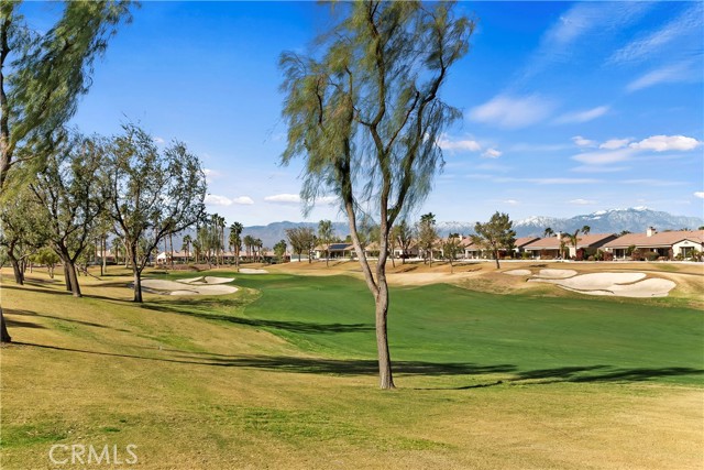 80358 Avenida Santa Alicia, Indio CA: https://media.crmls.org/medias/4d16a8f1-0f9d-4eaf-acd7-a7a56c624cf2.jpg