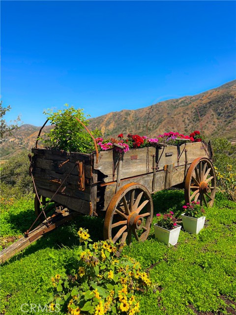 19041 Live Oak Canyon Road, Trabuco Canyon CA: https://media.crmls.org/medias/4d19bb72-c48f-4c13-bb65-cc79ef248440.jpg