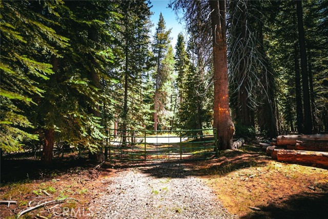 67922 Beasore Road, Bass Lake CA: https://media.crmls.org/medias/4d1a038b-3950-4064-8024-2fa45e578b50.jpg